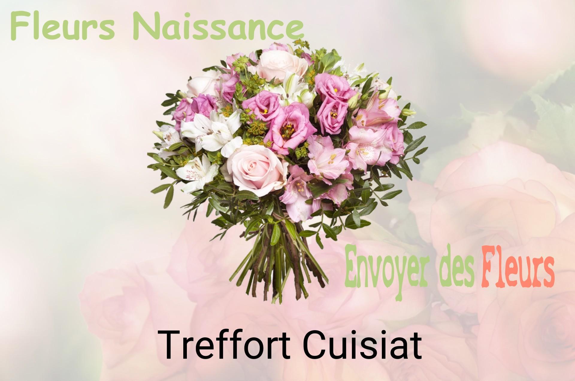 Bouquet de fleurs de naissance livré à Treffort-Cuisiat